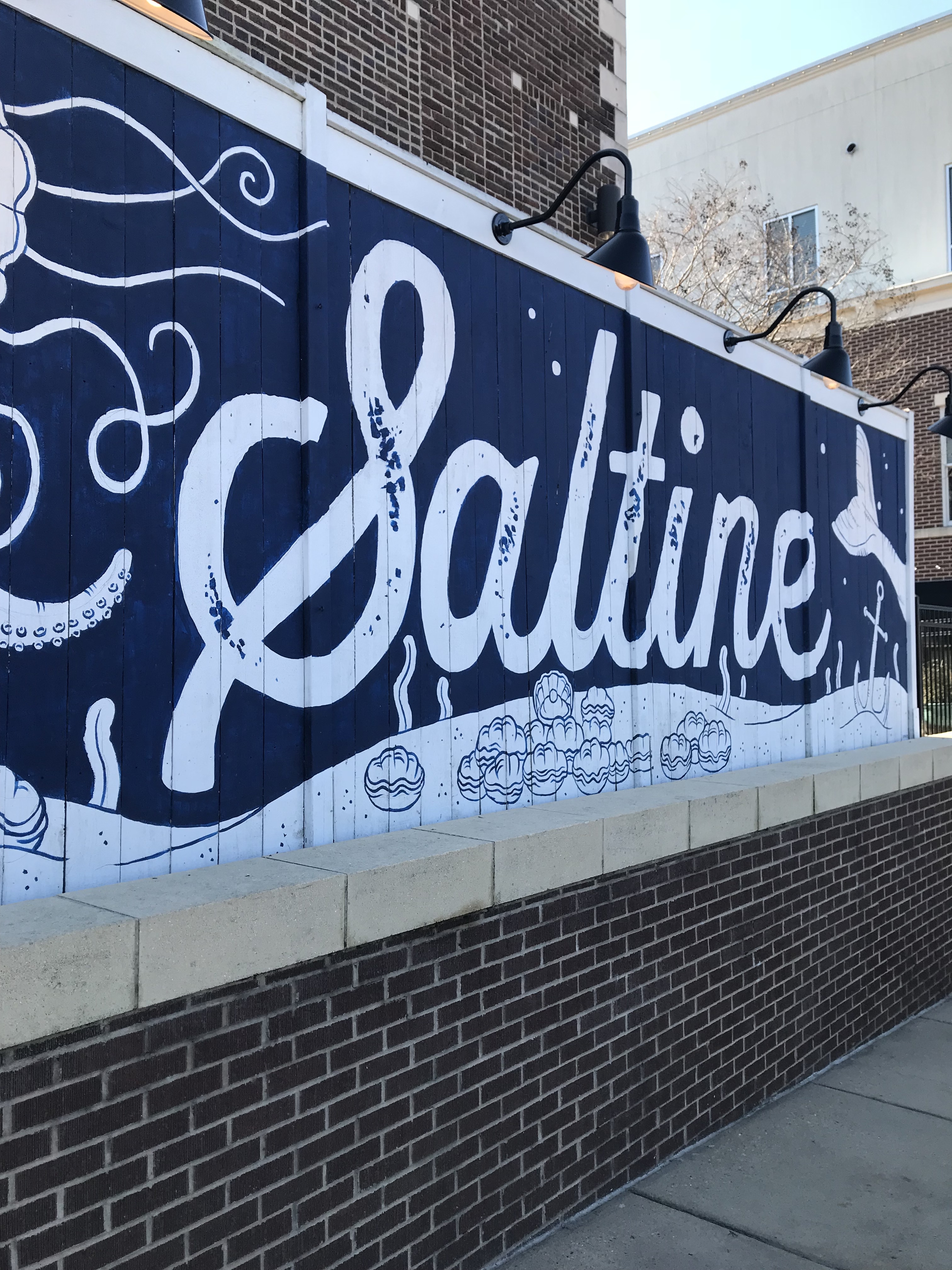 Saltine_1